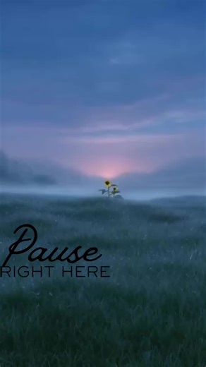 The ☀️ sun rises again. Pause right here. #begrateful #quietgratefulness