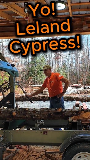 Sawmilling Yard Trees