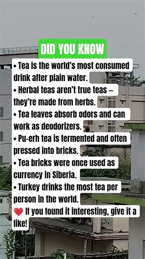 “6 Tea Facts That Will Change How You See Your Next Cup!”!