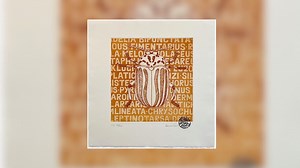 University of Hawaii calls for submissions for insect museum art show