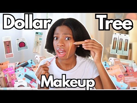I did a FULL FACE of Dollar Tree Makeup!