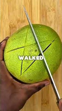 every child that has lived in my house in the past forty years