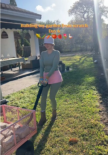 Building My Garden from Scratch - Day 6 Progress