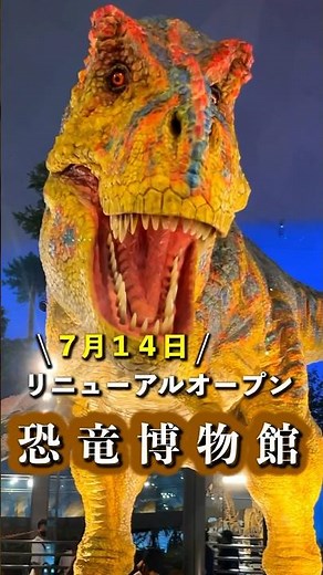 【最速】リニューアルオープンした恐竜博物館に行ってきました！#福井県 #福井観光 #恐竜博物館 #shorts