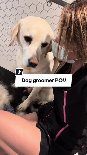See my day through my eyes #doggrooming #dog #fyp #pov