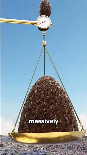 Do Bugs Or Humans Weigh More? 🤔