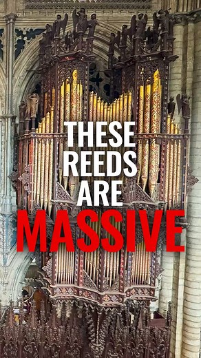96K views · 2.3K reactions | These are just SOME of the reeds on the incredibly symphonic and diverse organ of @Ely Cathedral. Jeremy Lloyd takes us through all the colours of this instrument. I think I've got a new favourite organ! #orgel #orgelmusik #organ #organist #elycathedral #organmusic #cathedral #architecture #church | Richard McVeigh | Facebook