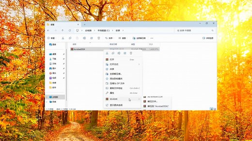 PDF软件Acrobat下载：Adobe Acrobat Pro DC 2022破解版安装教程