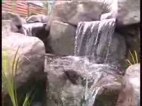 Waterfall, Stream & Bog Filter