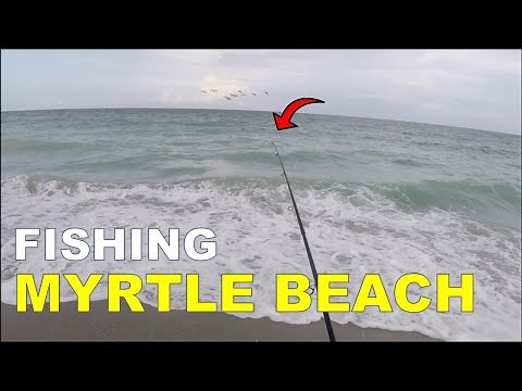 Where and What to Fish for at Myrtle Beach, SC in Summer (MUST WATCH)