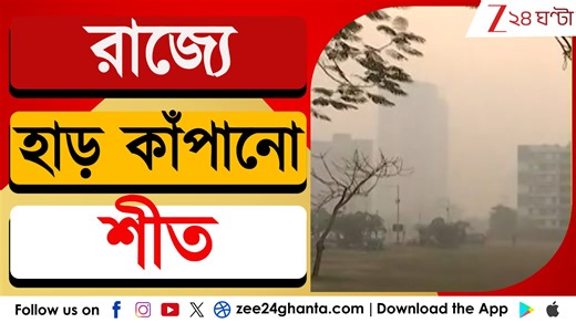 Weather Update: রাজ্যে হাড় কাঁপানো শীত, ৮ জেলায় শৈত্যপ্রবাহের সতর্কতা | Zee 24 Ghanta #Zee24Ghanta #Liveupdates #update #weather | Zee 24 Ghanta