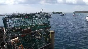 Lobster prices remain higher than average