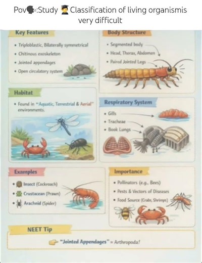 Classification of living organism