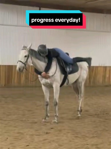 Amazing girl tonight as well, she has already come sooo far and I'm so glad she's starting to trust me!! had some major improvements with standing still that she let me play around like an idiot after. I'm also so glad I haven't been listening to the people telling me