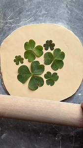 250K views · 6.5K reactions | “The only difference between a flower...