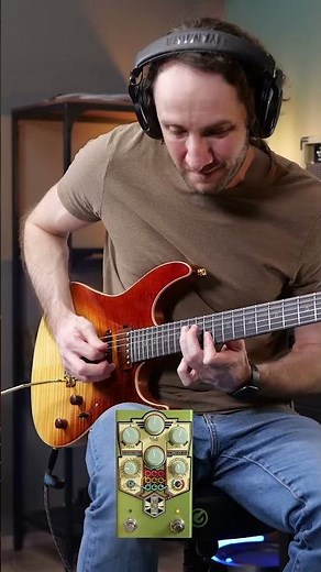 Livin' It Up 🎸 - Beetronics BeeBeeDee Delay
