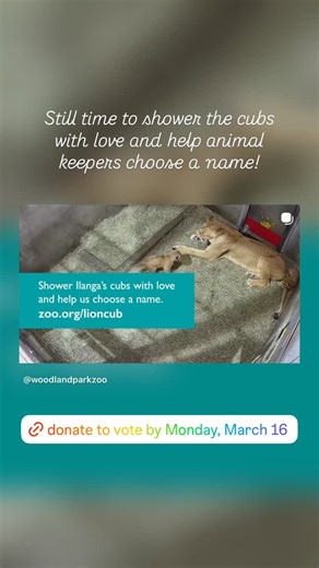 Woodland Park Zoo on Reels