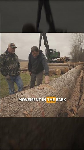 Different parts of an oak tree are used for different purposes.