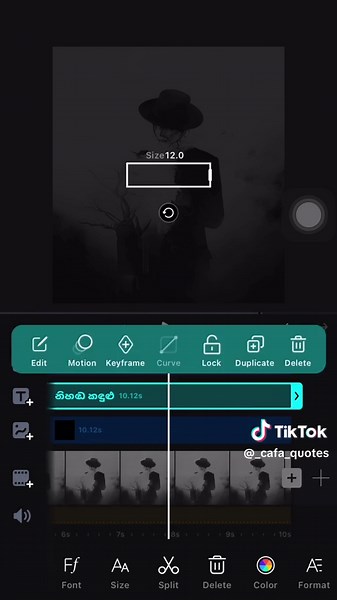Edit Tutorial on VN App for Beginners