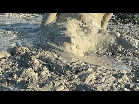 Jumping and playing in very deep creamy mud