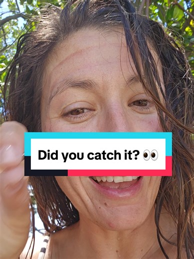 Little freedive in the Florida Keys 🌊 Picked up some trash, searched for tiny fishies, came up smiling… and then nature said hi 🌿🦎 Did you see what was right above me? #iguanas #floridawildlife