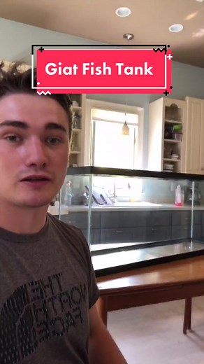 Giant Giat Fish Tank for Aquarium Enthusiasts