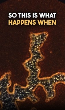 The Microscopic World: Blood Cells, Water Filters & Surprising Discoveries!