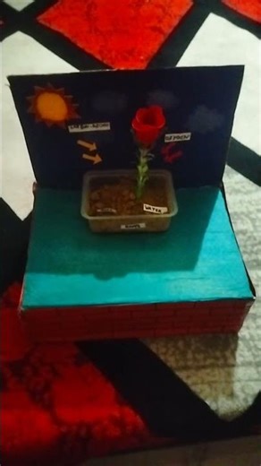 #photosynthesis project