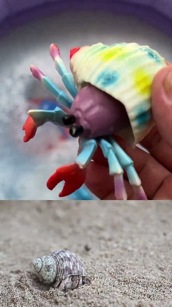 Ocean Animals for Kids | Learn Sea Creature Names and Facts with Toys