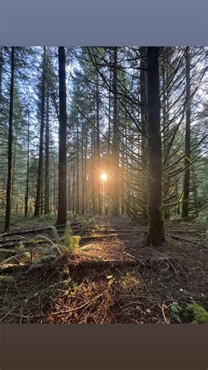 Hey neighbors — we’ve got some heavy weather on the way. If you’ve got a tree that’s worrying you or something that just doesn’t look right, don’t wait for the storm to decide for you. We specialize in safe, professional tree falling and hazard removal. Local crew. Family-owned. Professional timber fallers. TOP HEAVY TIMBER LLC Reach out anytime. | Brennen Miller