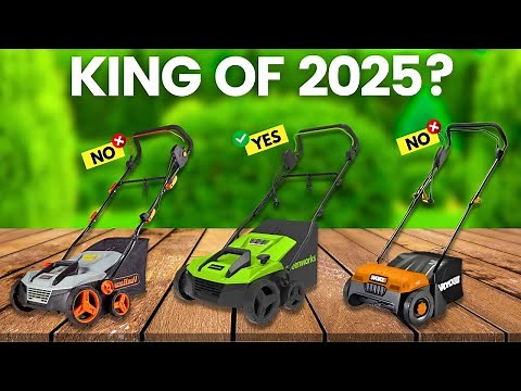 6 Best Lawn Dethatchers 2025