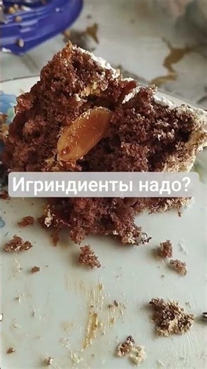 23 марта 2026 г.