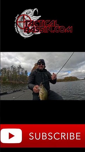 The Best Bait For Winter Bass! #shorts