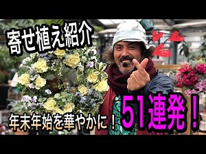【寄せ植え】冬の寄せ植え大紹介 51連発！