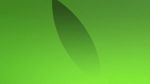 clip-3619076473-abstract-green-gradient-motion-background-seamless-looping
