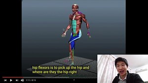 髋关节屈肌 Hip Flexor | 美国运动委员会ACE-CPT | 国际私人健身教练证