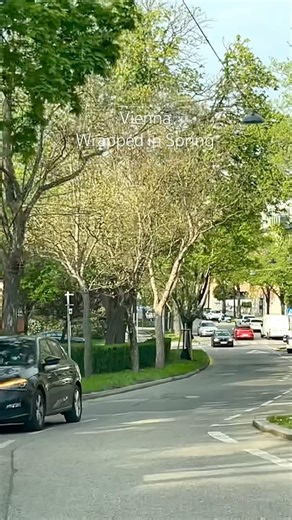 📍Vienna #austria #travel #austriatravel #viennatravel #vienna #spring #city #viral #roadtrip
