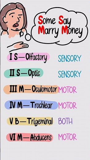 Cranial Nerve Types in 30 Seconds 🔥 | “Some Say Marry Money” USMLE Neuro Mnemonic
