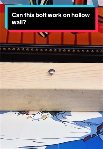 Using Expansion Bolts on Hollow Walls: A DIY Test