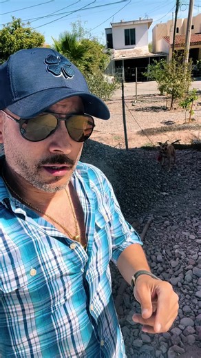 Presentando a La Canela: la Perrita del Rancho