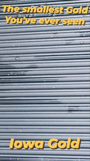 Checking the indicator mat for micro flour gold #sluiceboxtips #SluiceBoxSetup #goldrecovery #IowaGold #treasurehunting #finegold #FindingGold #short #goldflakes #goldrush @Jen Courtney Jeff Burnett Dave Varabioff Gold is where you find it. | Tim Springston