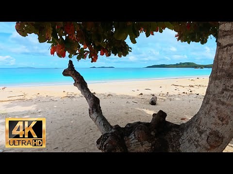 Beach View in Paradise | Calming Ocean Sounds & Relaxation