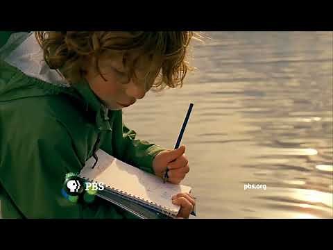 PBS Rebrand IDs (2009) [HD]