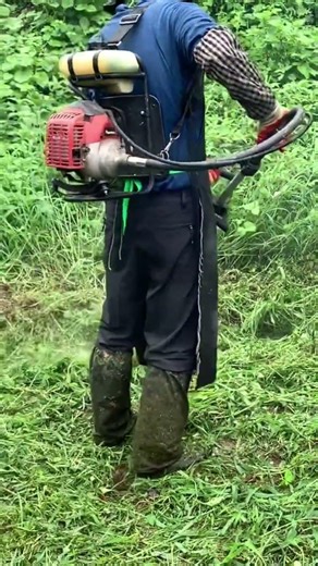 마당 밭 예초기 작업.#풀 #잔디 #벌초 #예초기 #줄날 #칼날 #ZENOAH #BK4302 #automobile #줄다리기 #lawncare #farming #satisfying