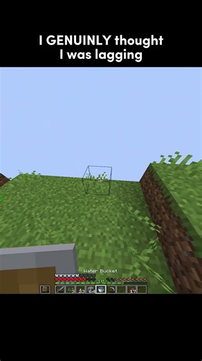 GENUINELY #w3rp0_ #minecraft #fyp #funny #viral