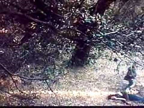 Halloween 2007 Bully Scene