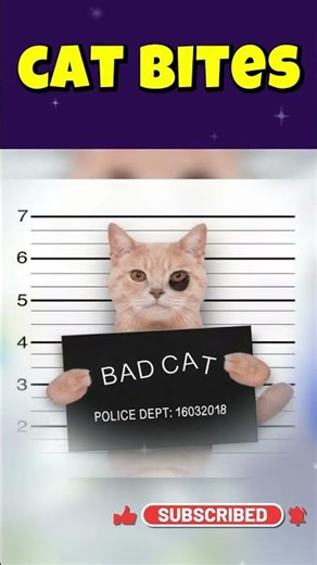 Cute Cat but Deadly Bite! 🐱 | Cat Bite First Aid & Treatment #shorts #shortsfeed #shortvideo