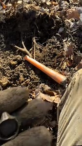 What beautiful ring!! #ring #foundation #exploring | Gone Diggin