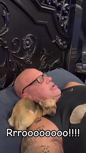 Tales from the clubhouse last night. While Claire rested, everybody came to say hi to her and to check on her.Roo Roo Rocket wanted to stop and give Dad some of her patented neck. Remember, she doesn’t do kisses she does neck. She has her patented fump fump fump, her ability to give the best neck, and of course, her one of a kind, Rrrroooooooooo!!!! Each and everyone have them have their own unique personalities and special little idiosyncrasies and that’s what makes them all so special and one 