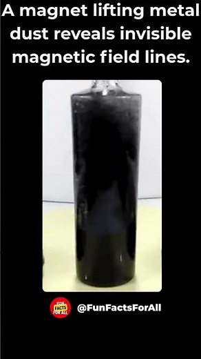 A magnet lifting metal dust reveals invisible magnetic field lines.